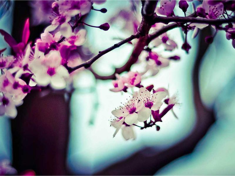 Dark server room rack with glowing neon green lights indicating active processing nodes, 8k resolution, photorealistic, no human figures